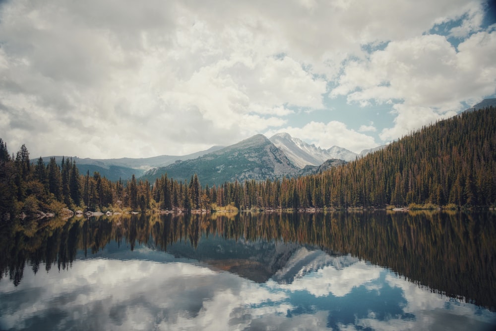 green trees near lake under white clouds during daytime