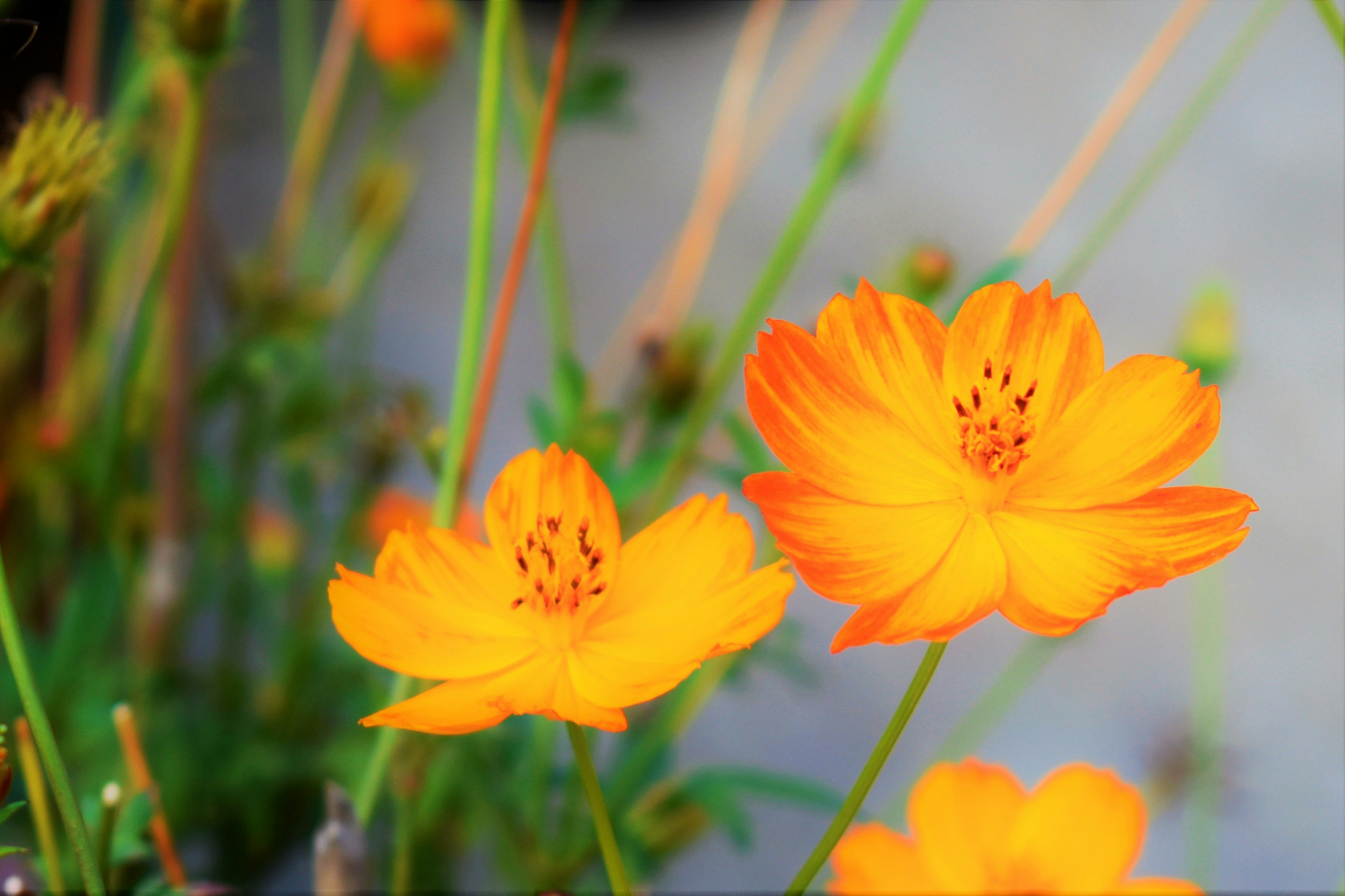 Photo by nband