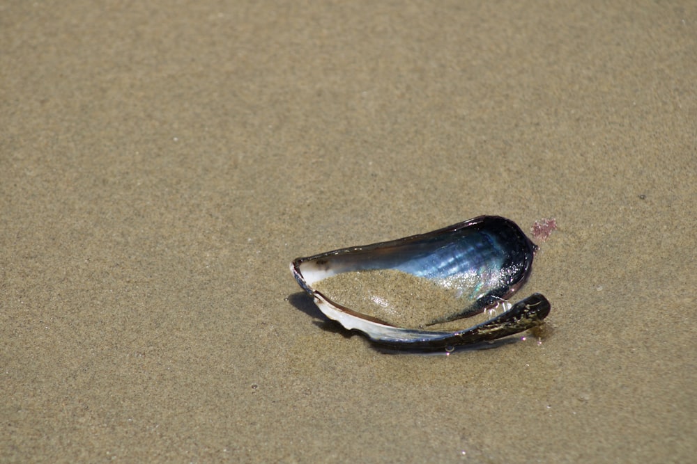 silver and purple stone on white sand