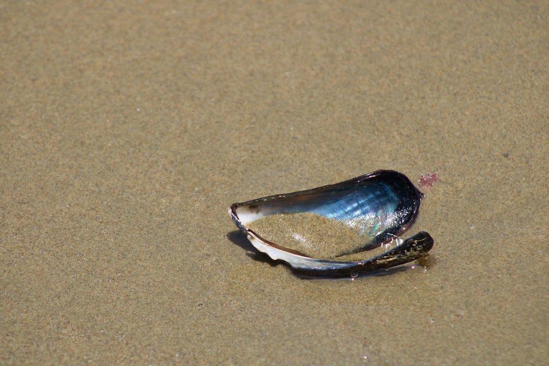 silver and purple stone on white sand