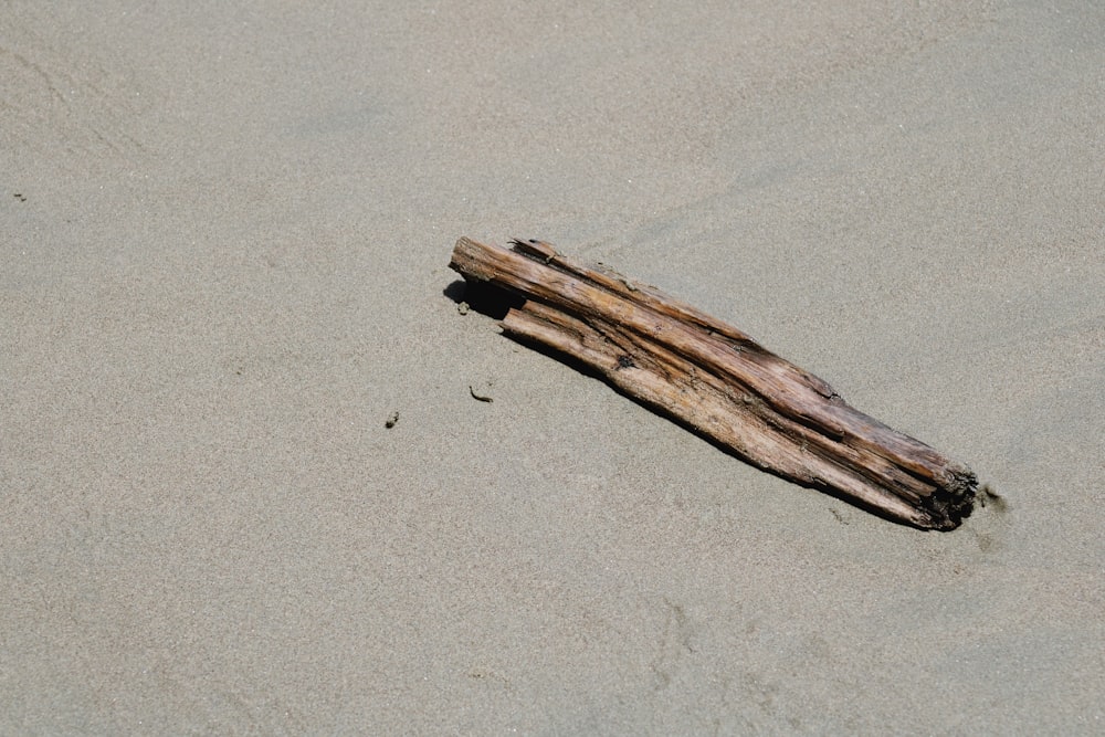 brown wood on gray sand