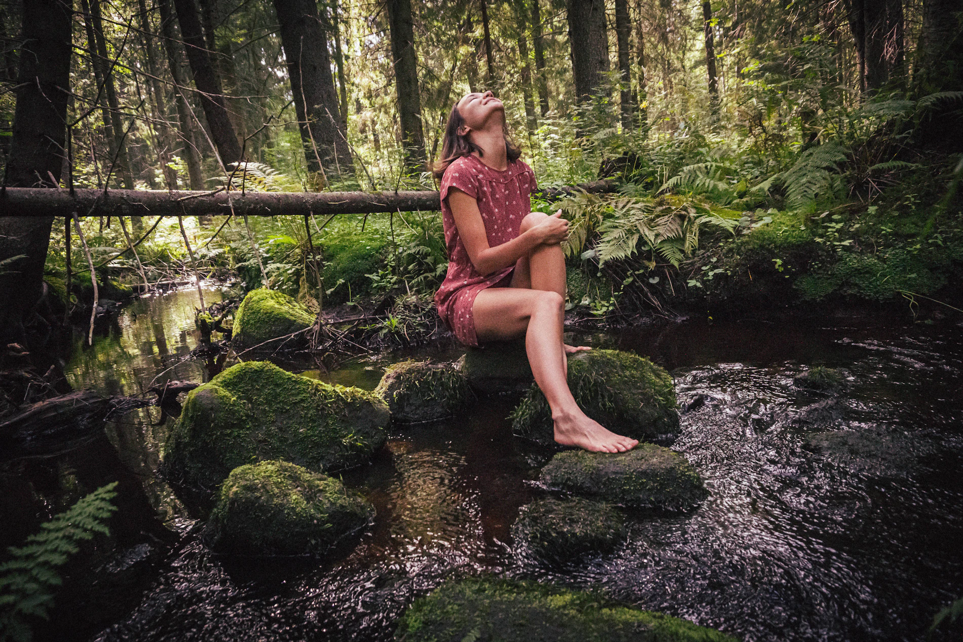 Ruisseau paisible en sous-bois