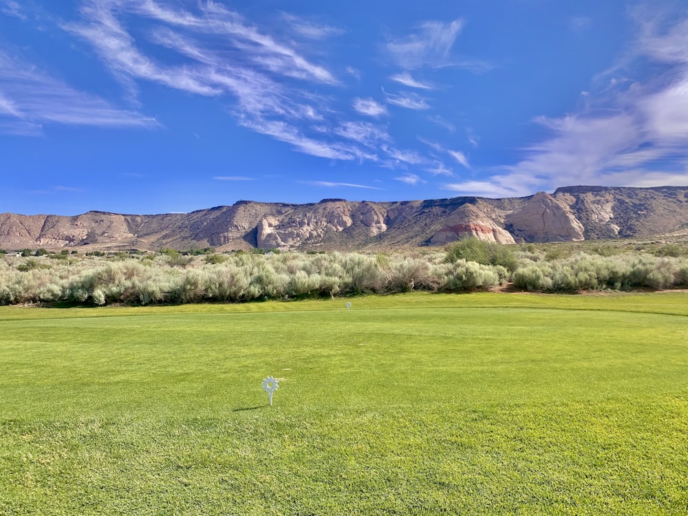 green grass field near brown mountain under blue sky during daytime