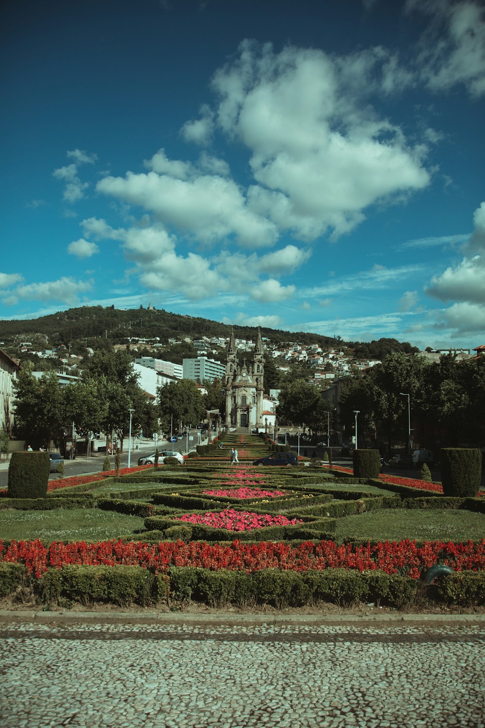 red and white flower field near white concrete building under blue sky during daytime