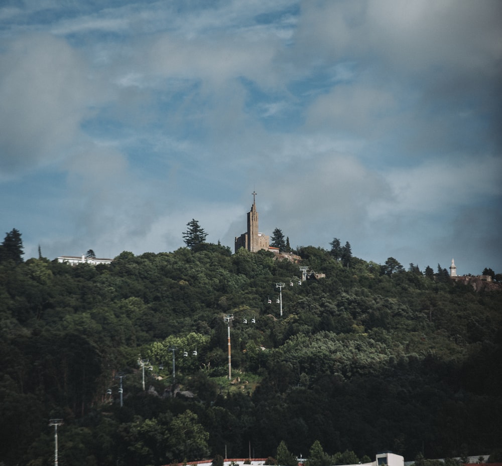 green trees under cloudy sky during daytime