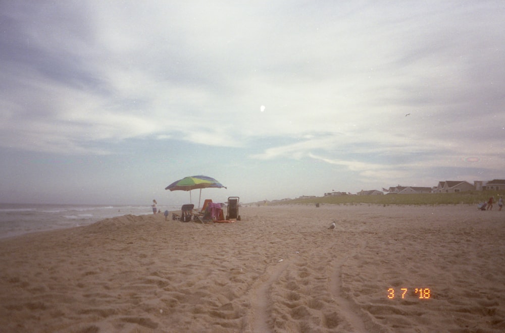 people on beach during daytime