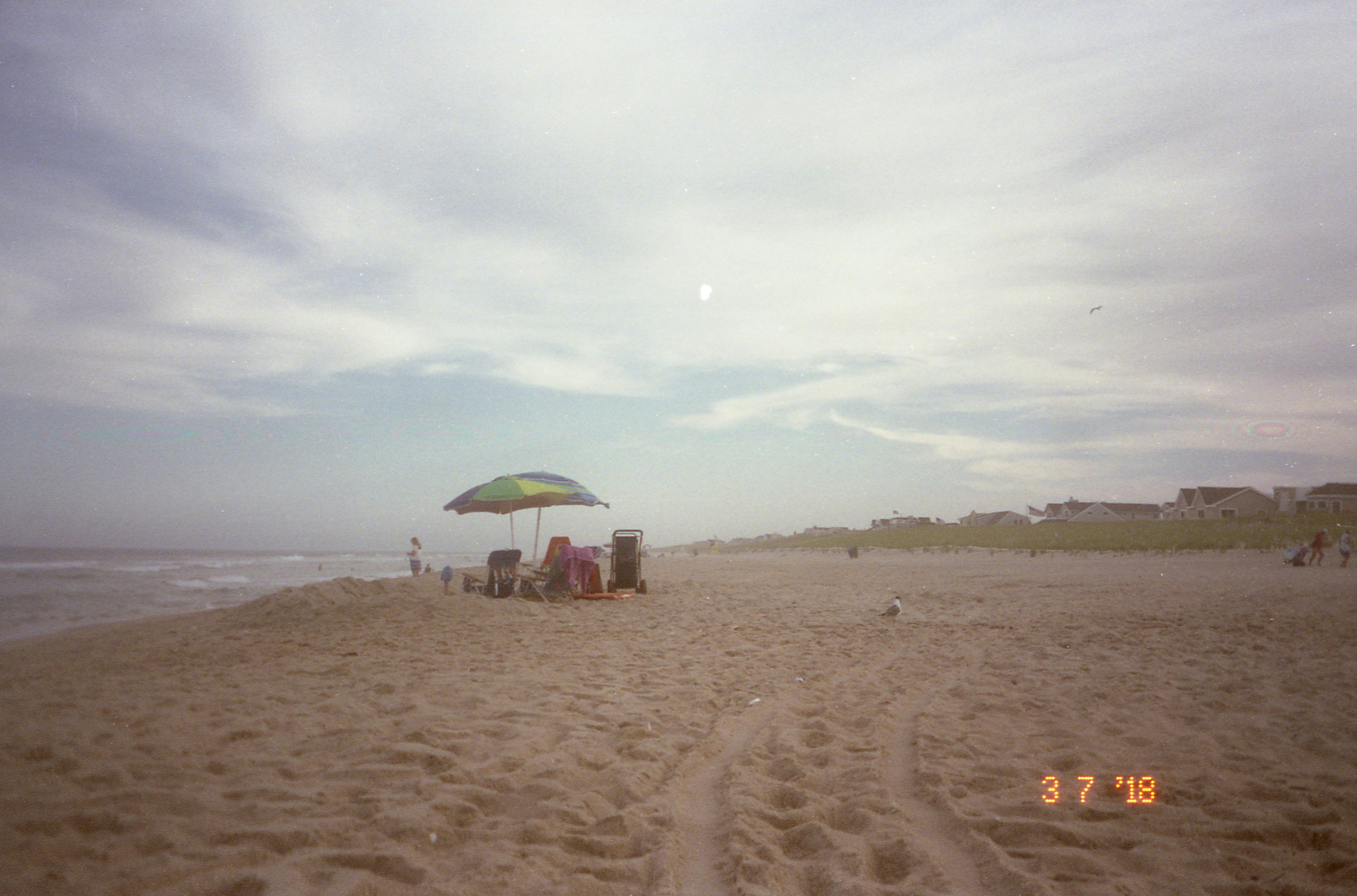 people on beach during daytime