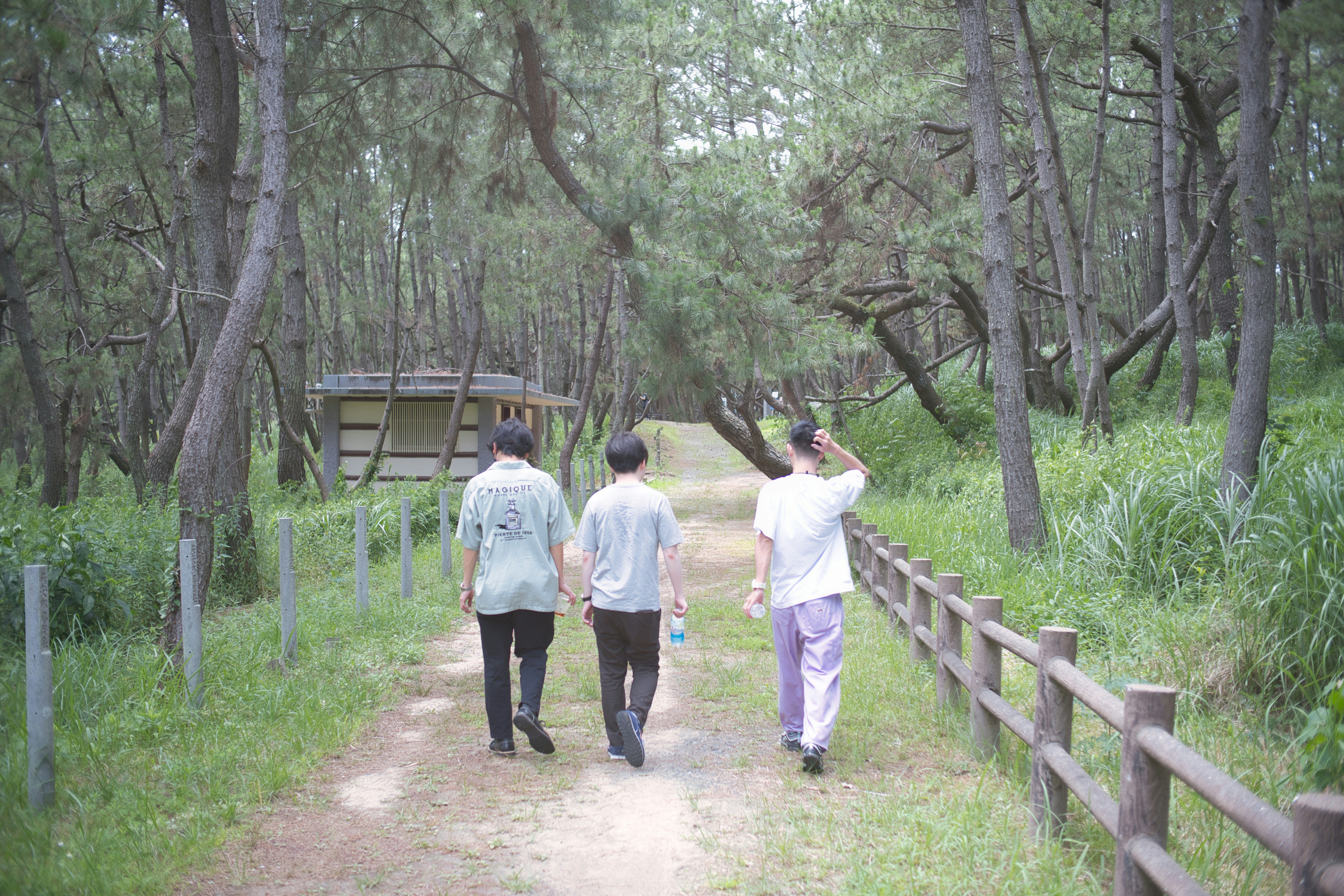 people walking on dirt road near trees during daytime
