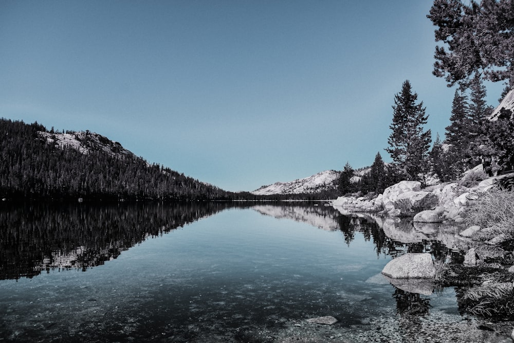 body of water near trees during daytime