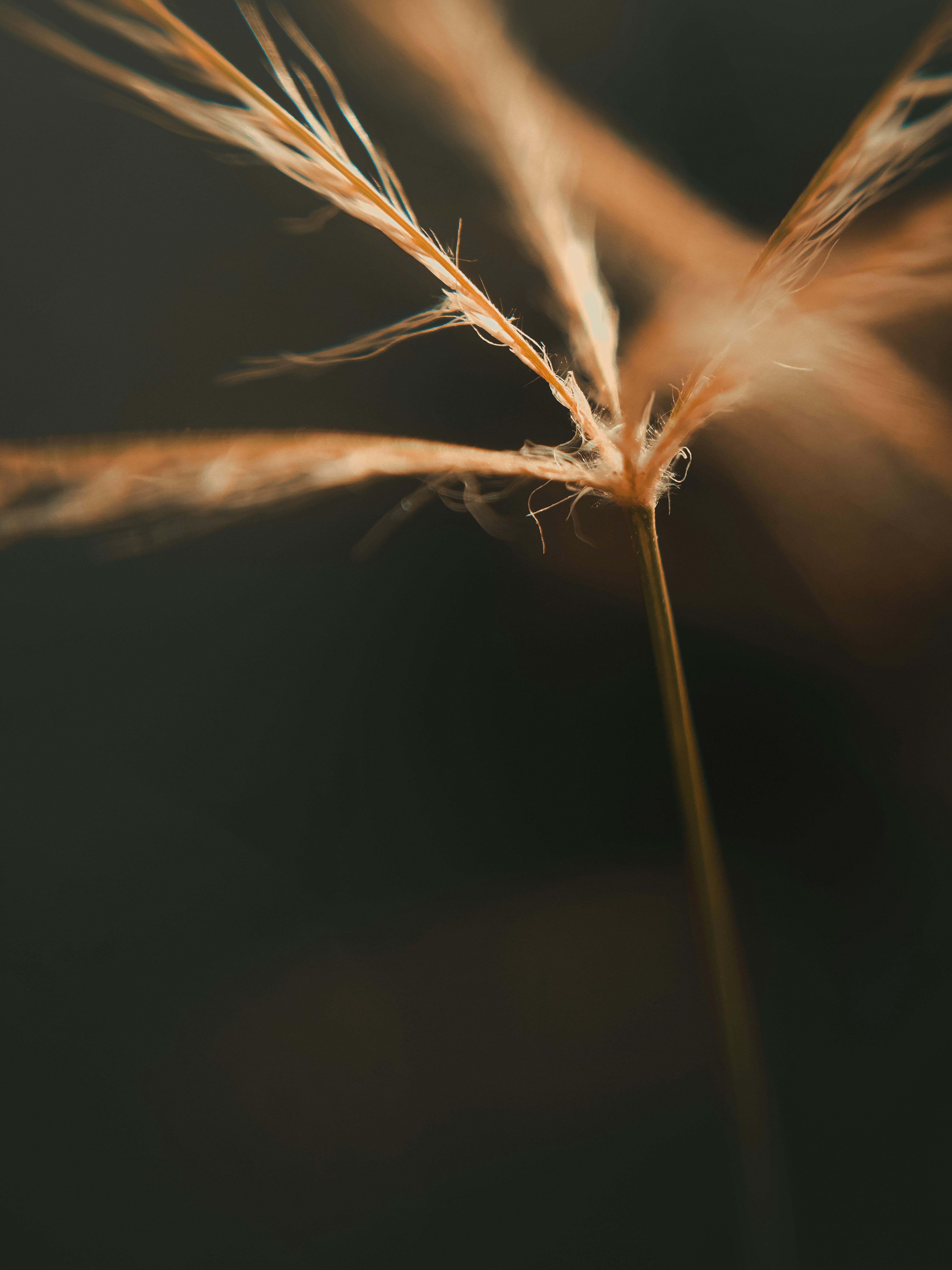 Photo by prithiviraj