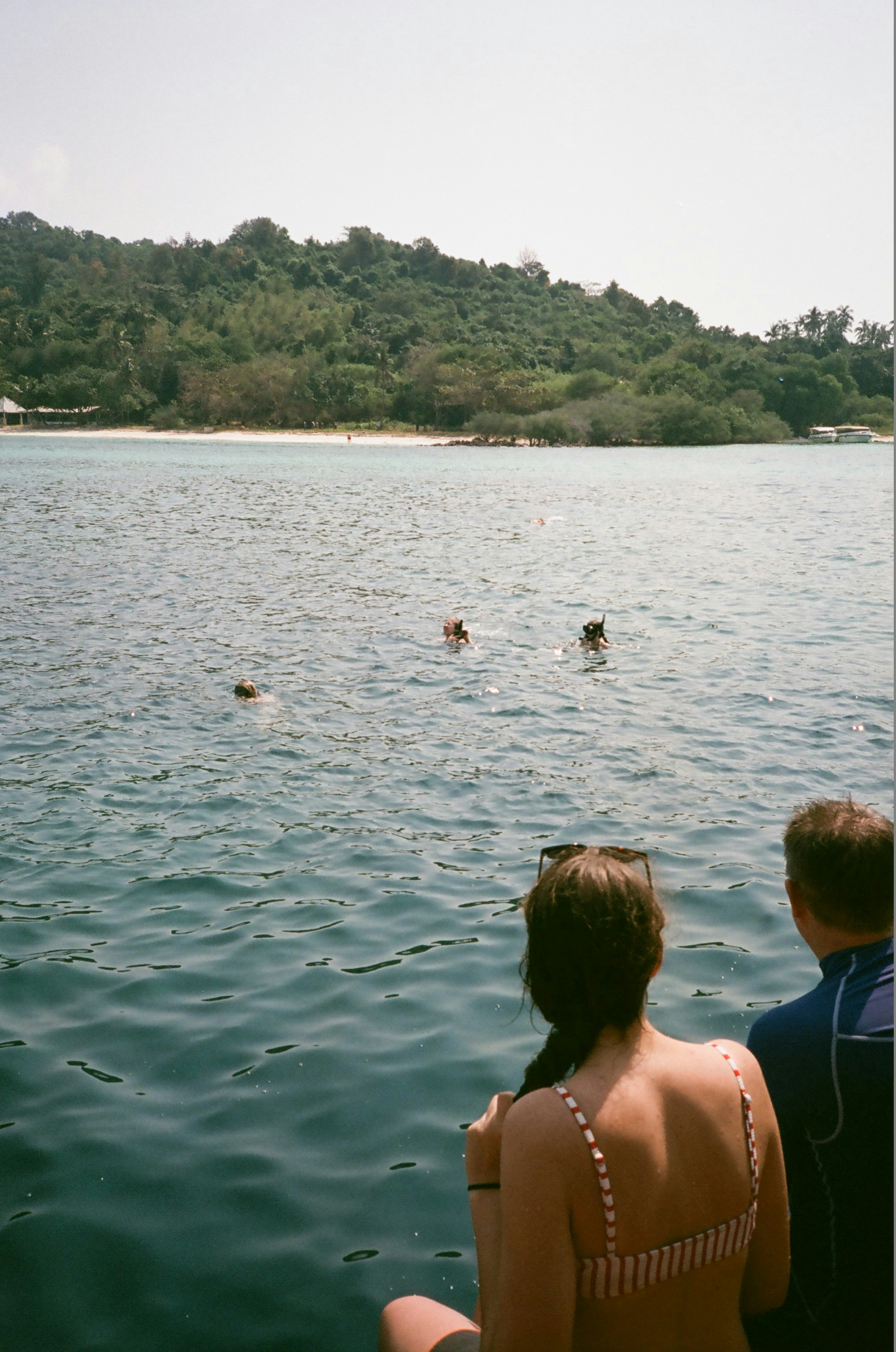 Livingstone Island Swim