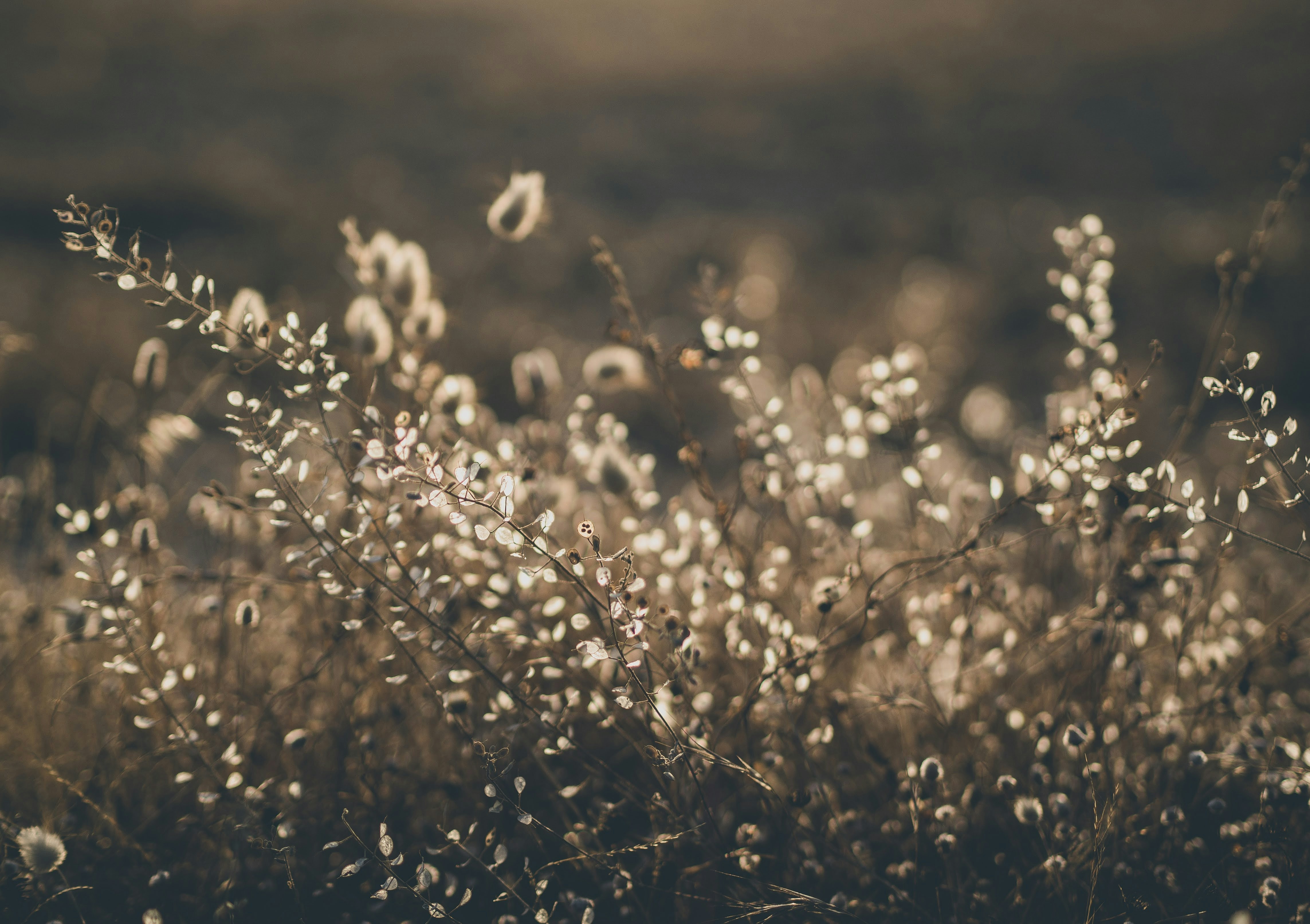 Photo by marta_alexandra