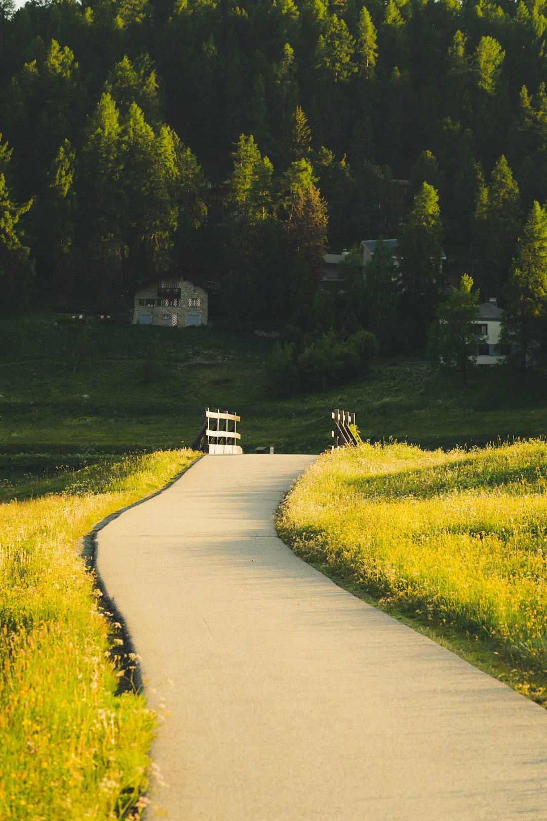 green grass field near gray wooden house during daytime