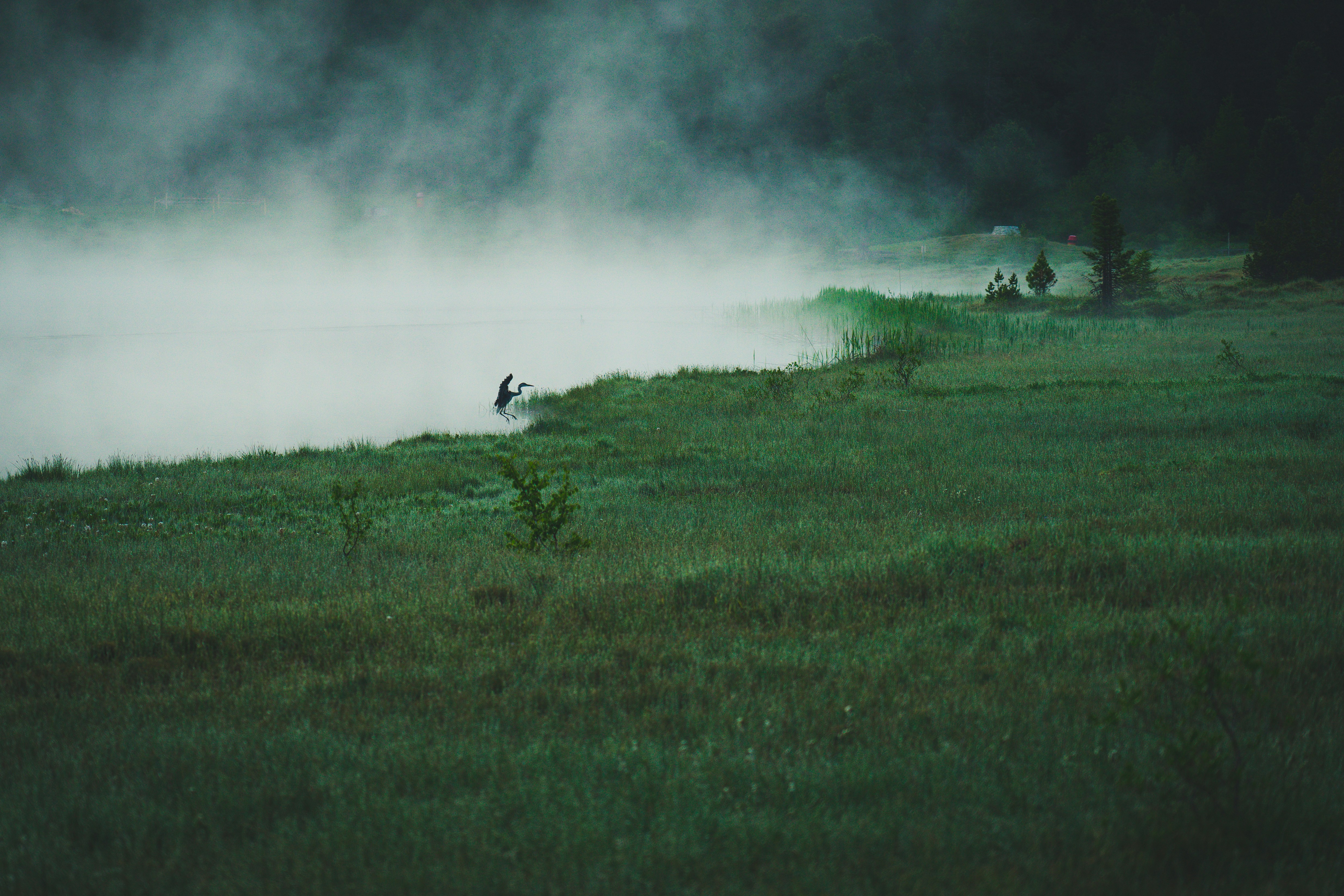 Photo by theverticalstory