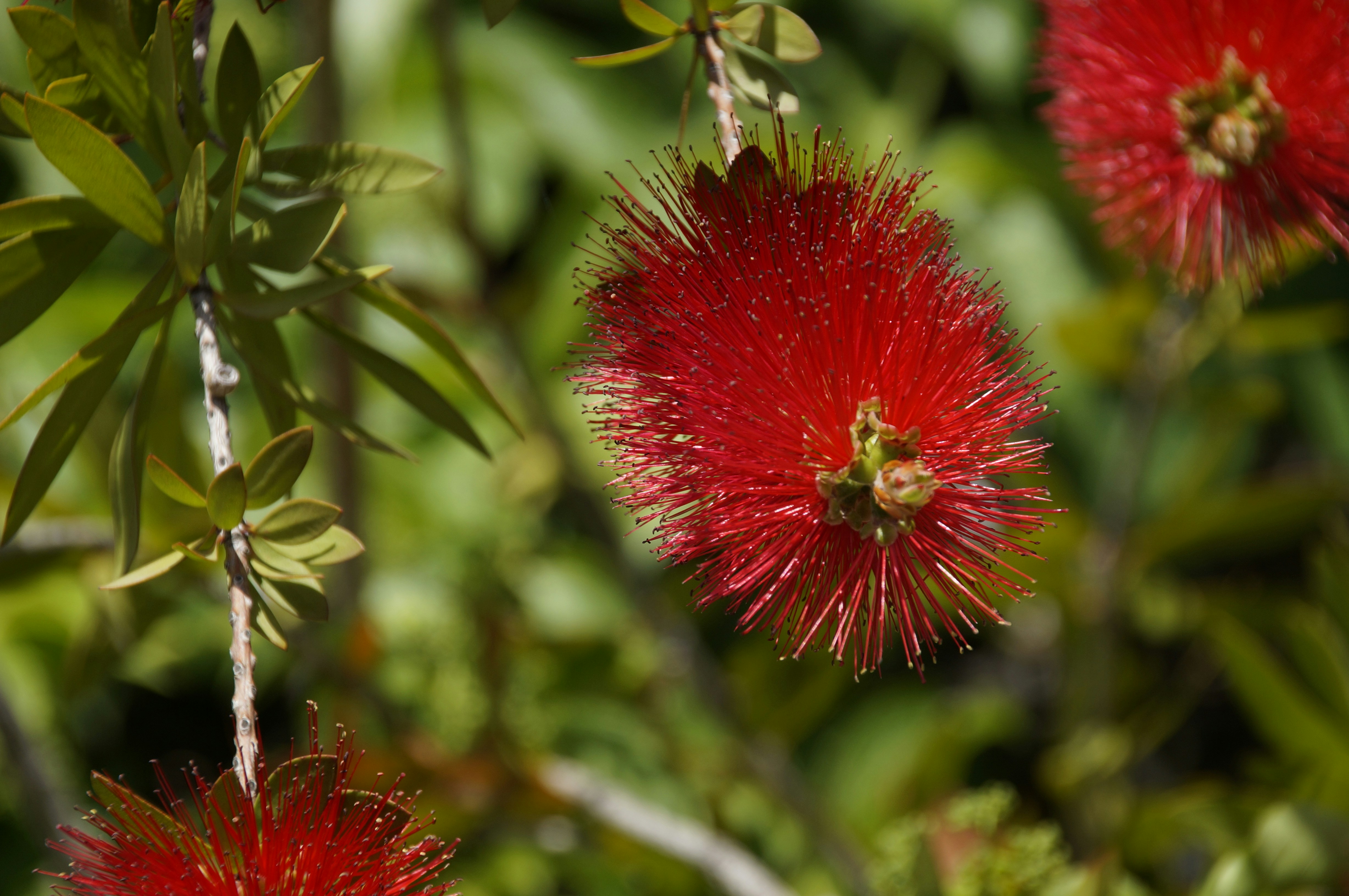 Photo by sardinien_blog