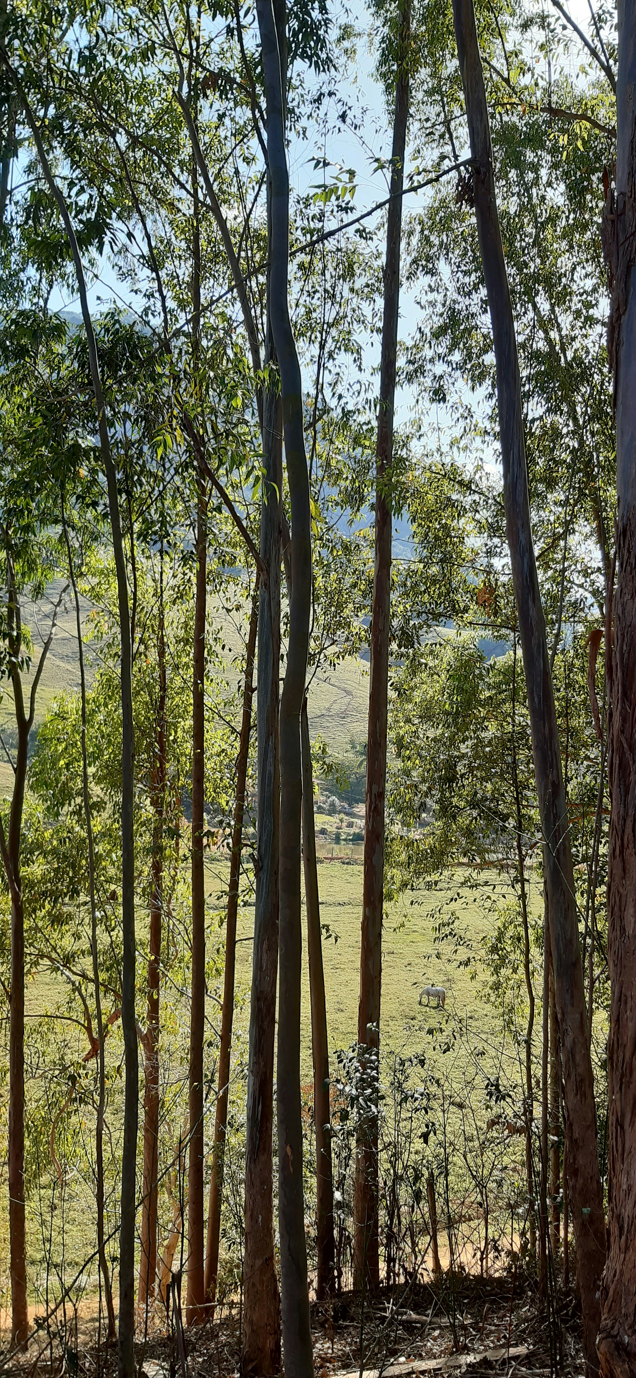 Photo by lumesi