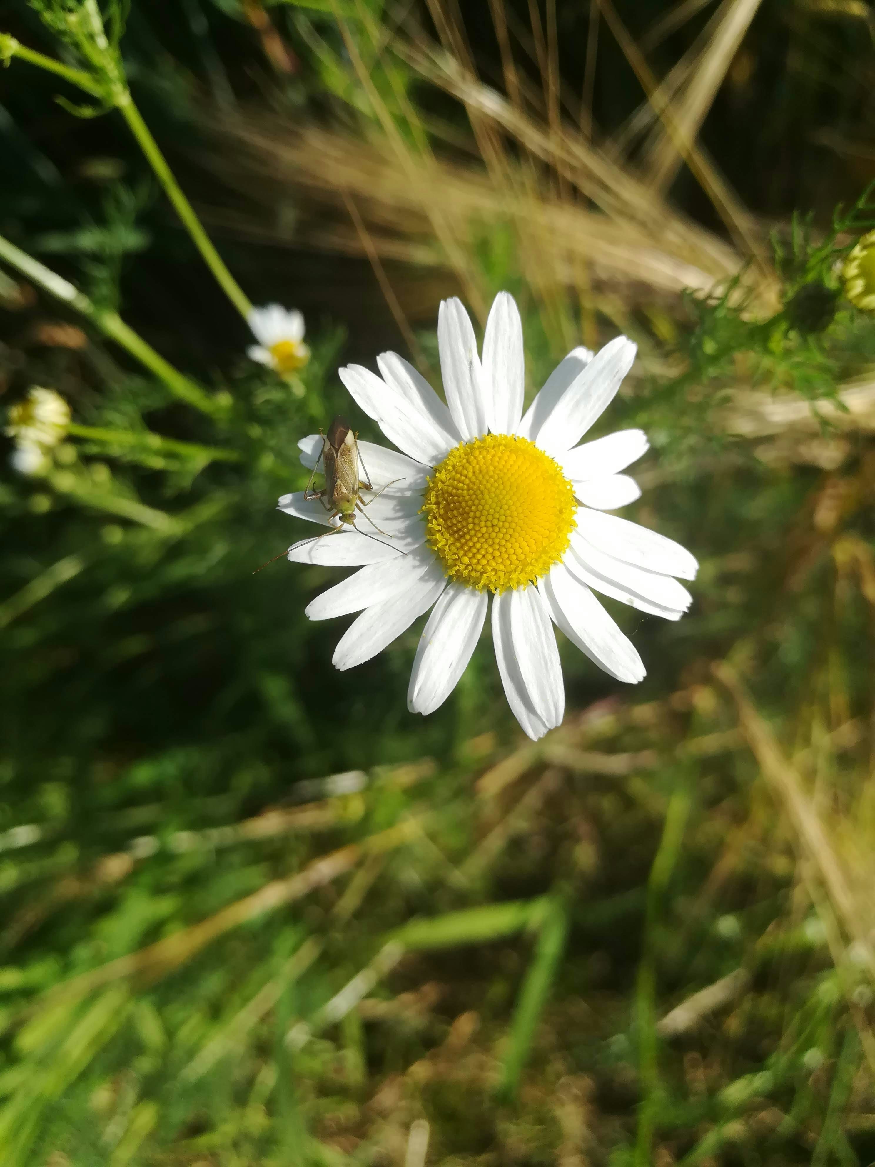 Photo by schreibmich