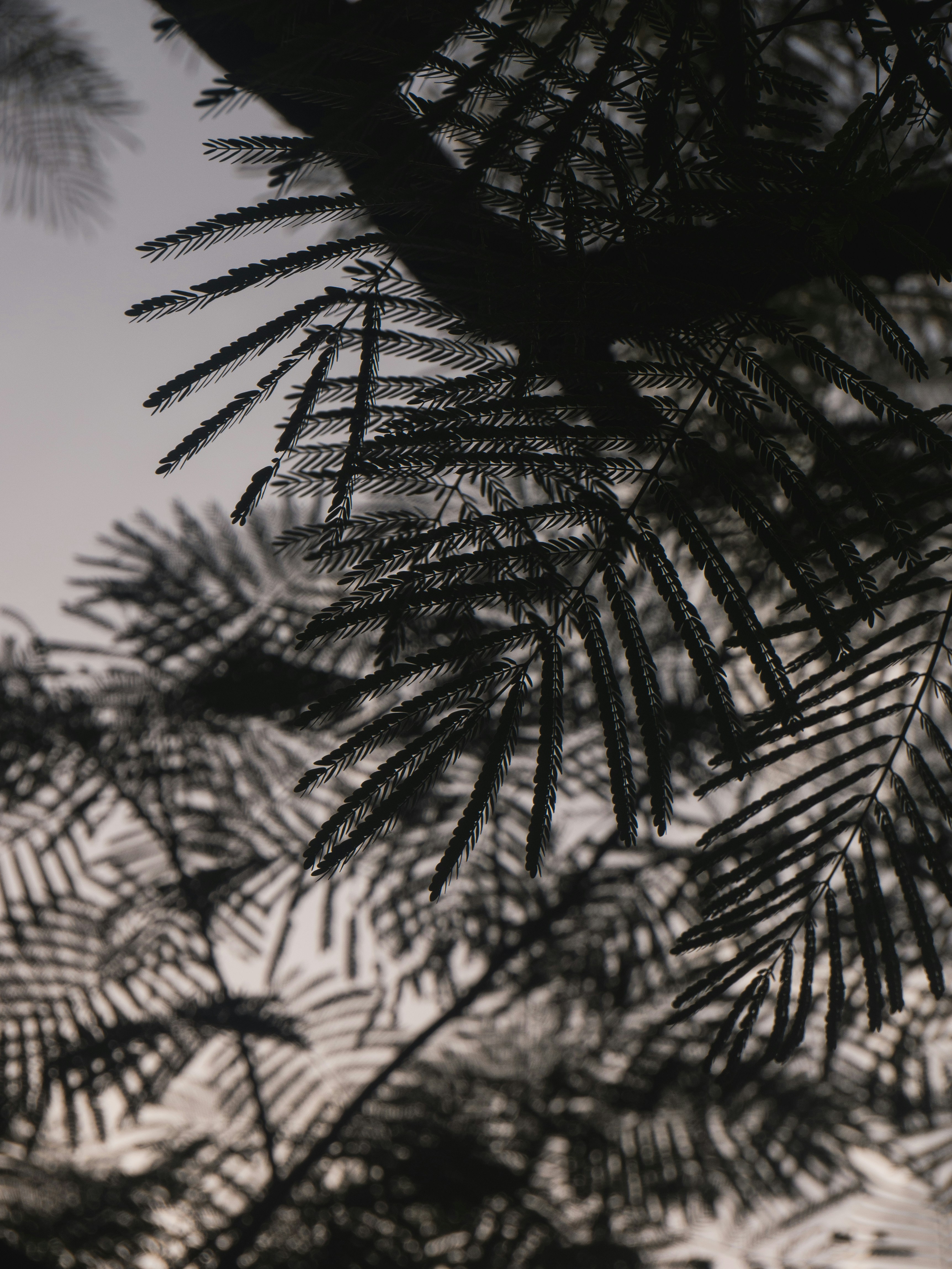 Photo by prahlad8301