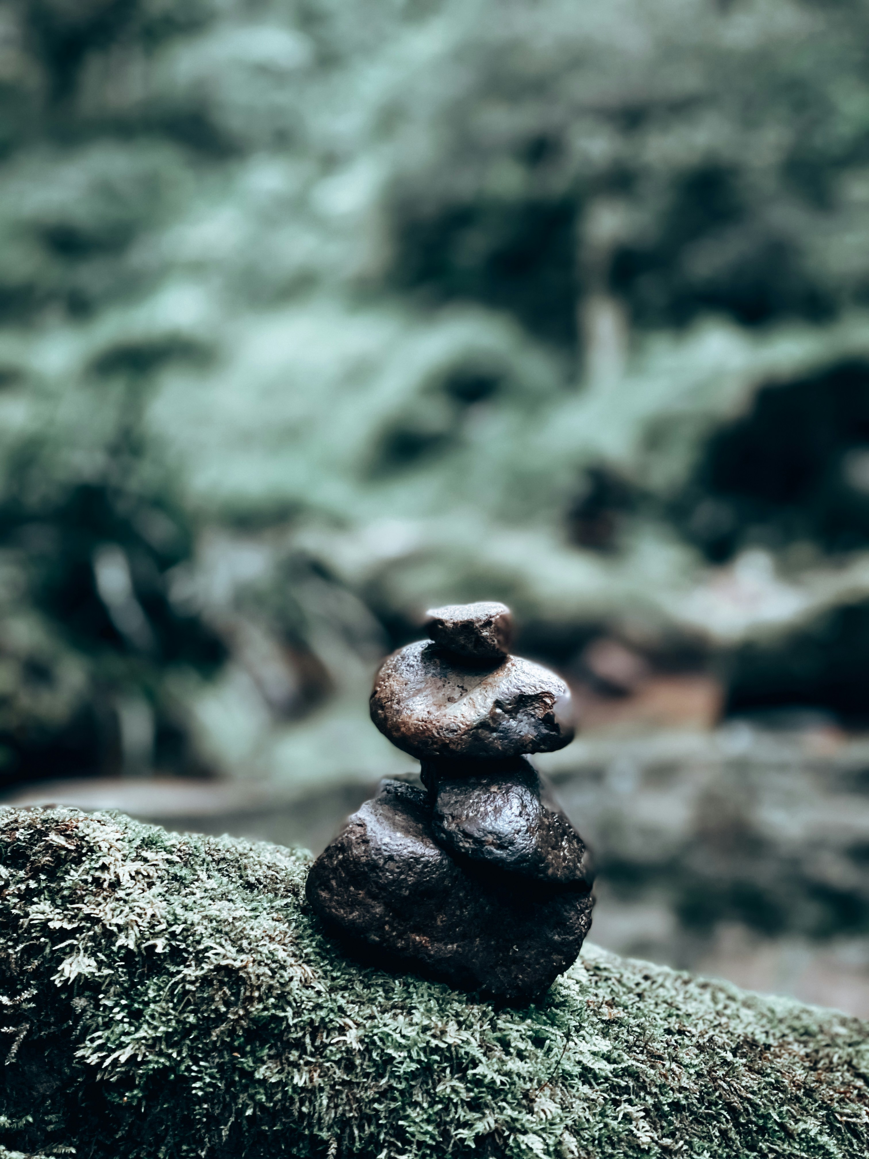 Photo by jaybrunner04