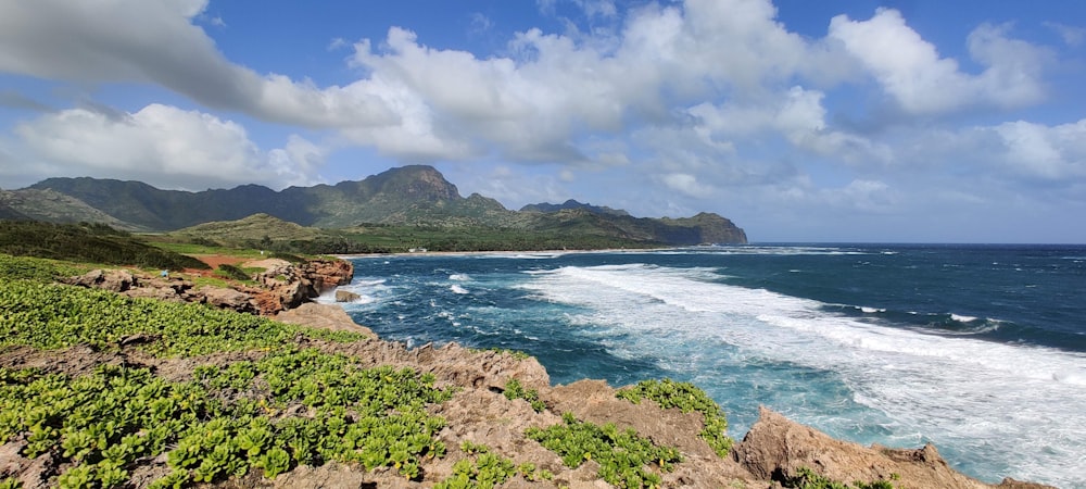 green grass on seashore during daytime