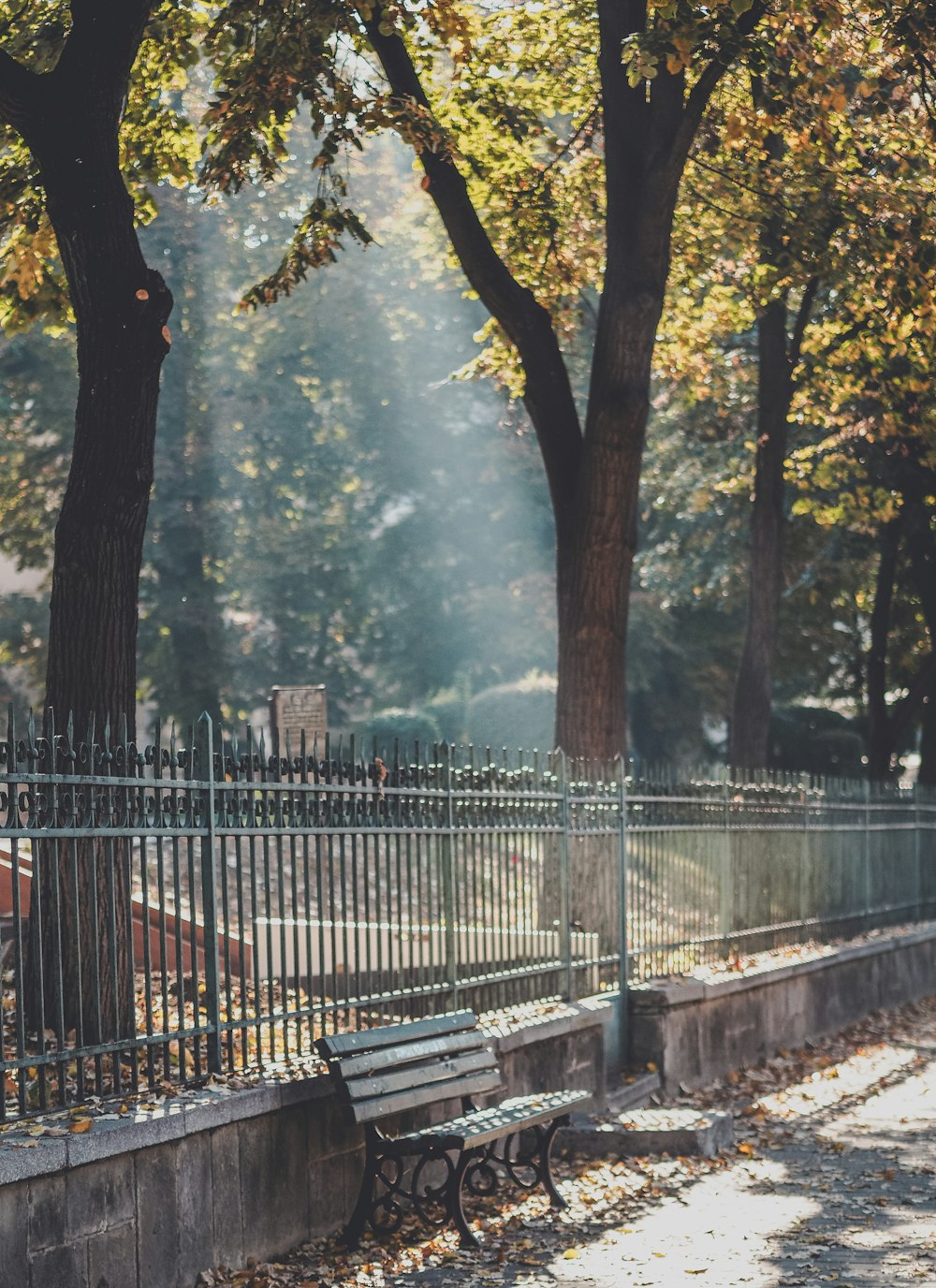 brown wooden bench near trees during daytime