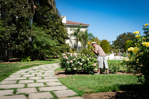 woman in yellow hijab standing on green grass field during daytime