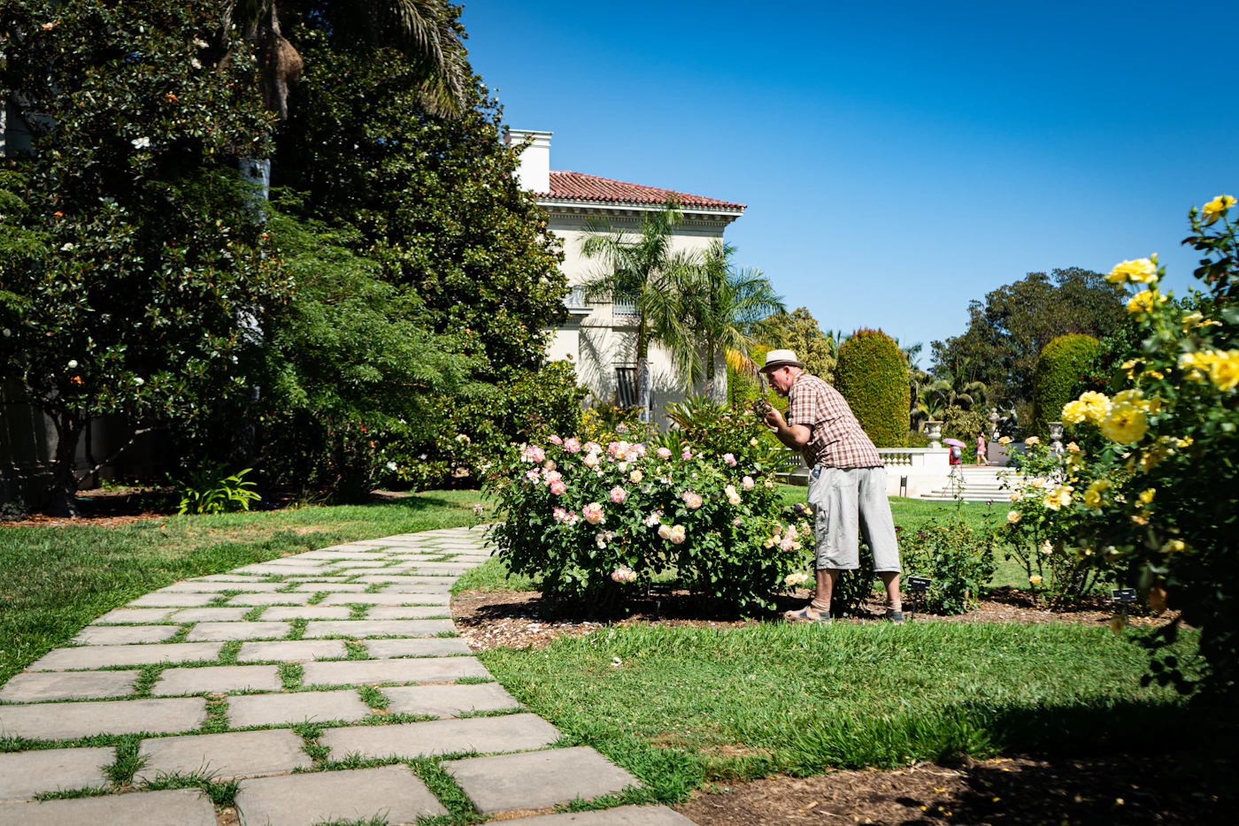 Older man tending a garden outside a white house