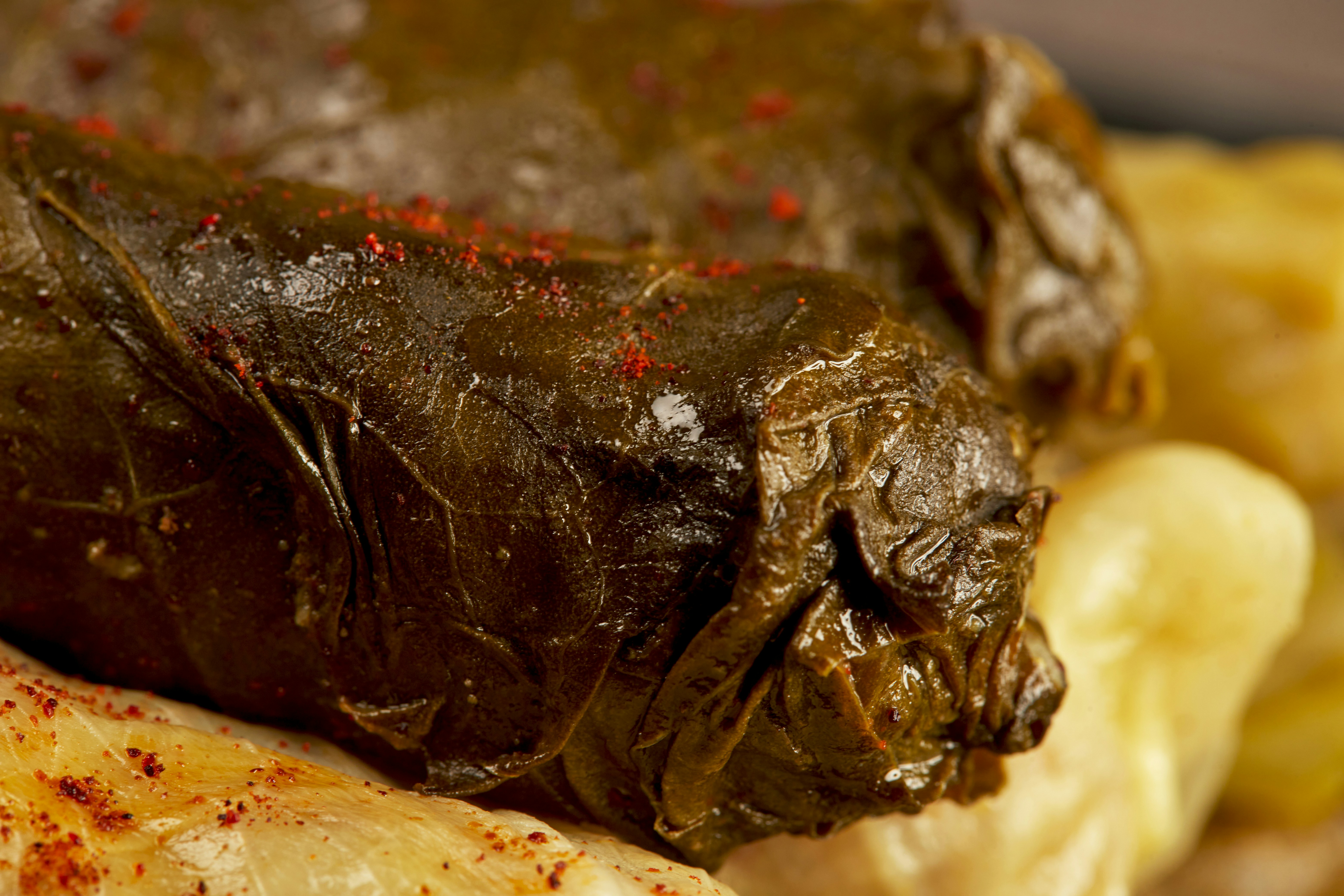 brown and black food on white ceramic plate