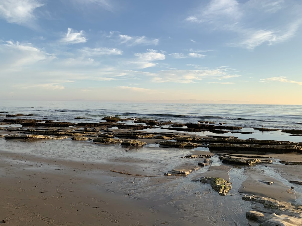 areia marrom perto do corpo de água durante o dia