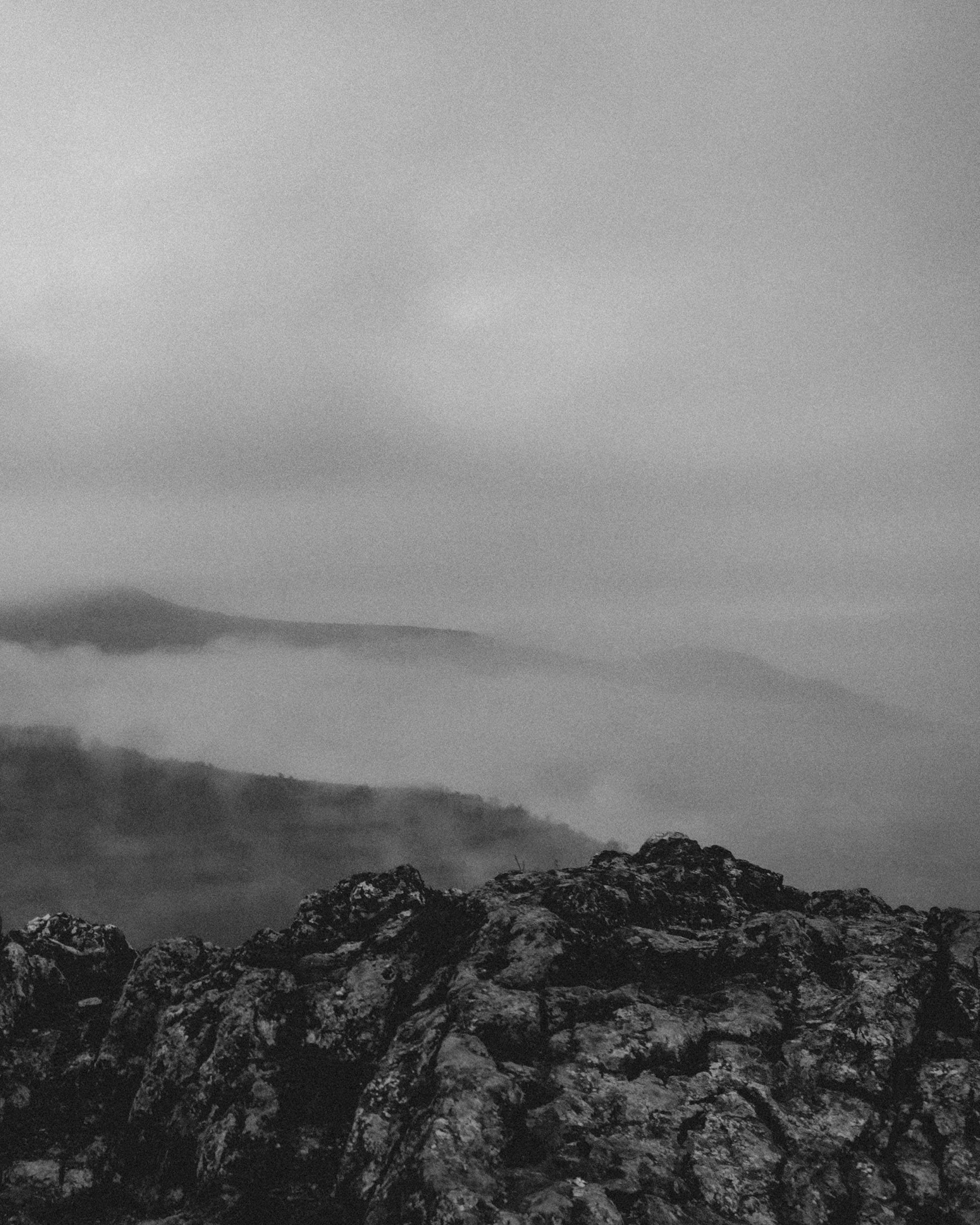 Photo by moisamihai092