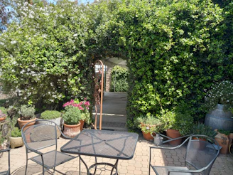 A vibrant garden with blooming flowers and lush greenery surrounding a cozy patio.