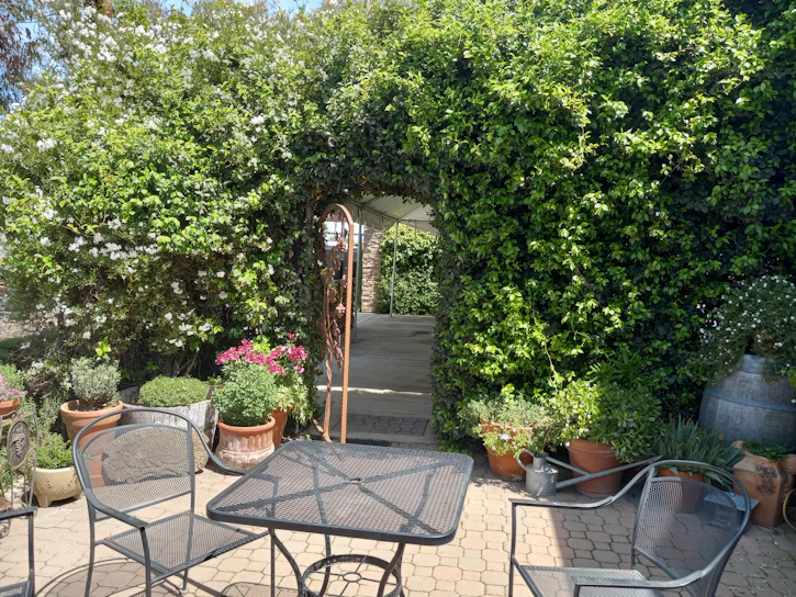 A vibrant garden with blooming flowers and lush greenery surrounding a cozy patio.