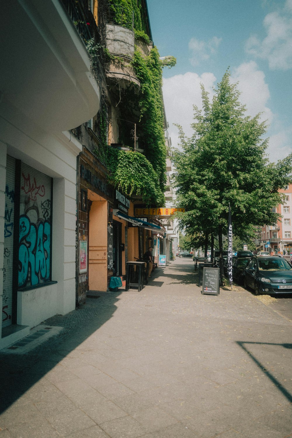 cars parked beside green trees during daytime