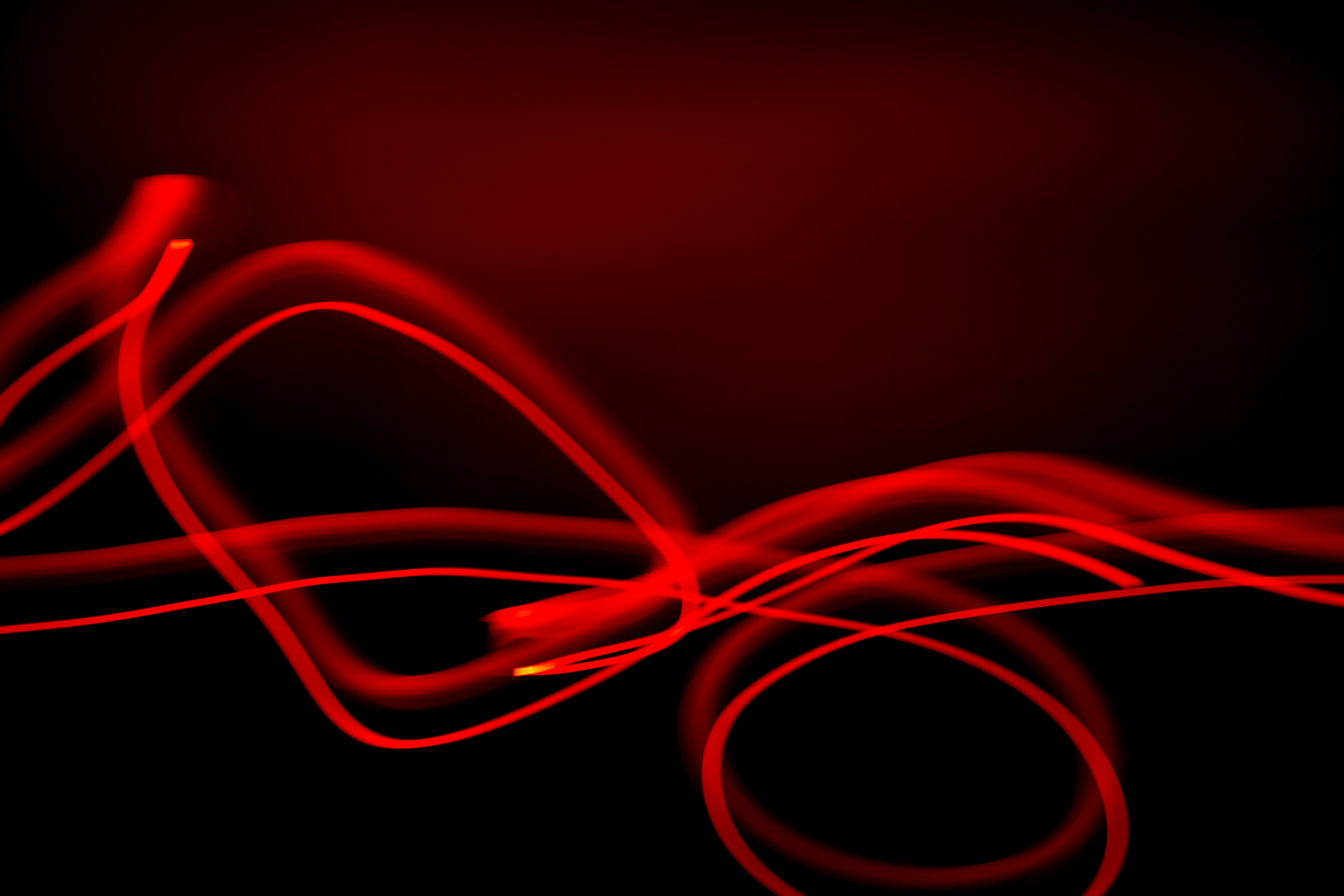 Photo by angeloabear