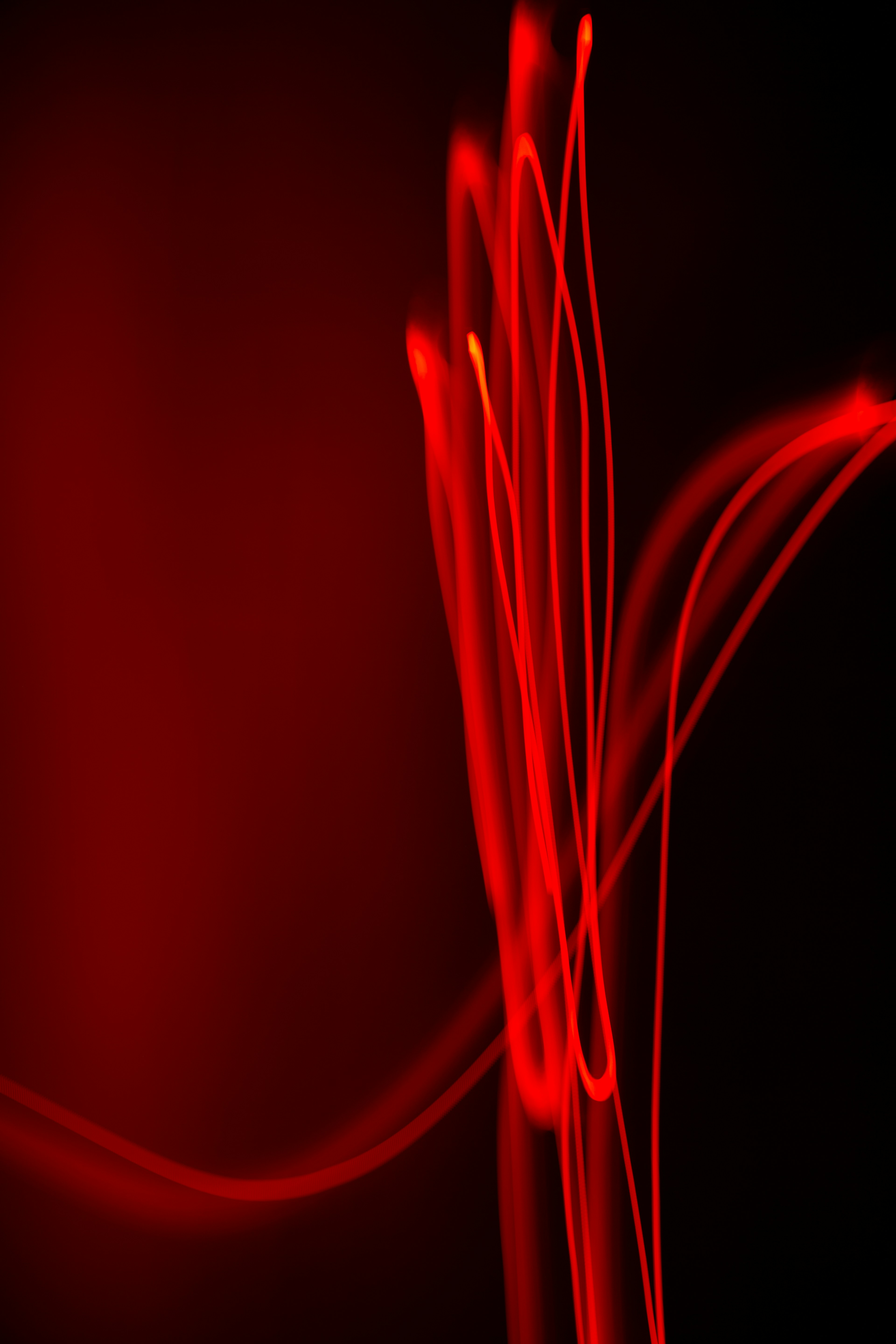 Photo by angeloabear