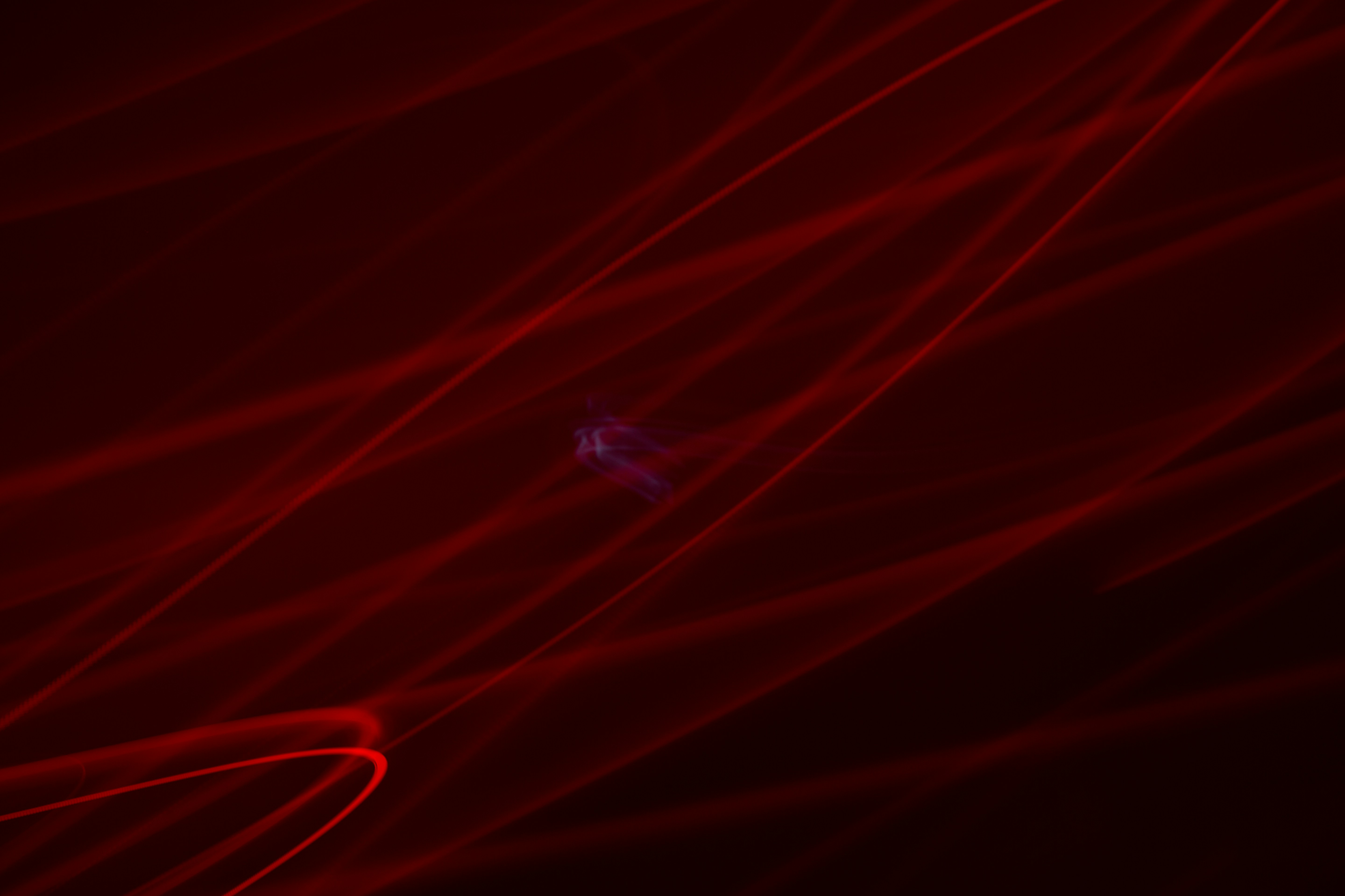 Photo by angeloabear