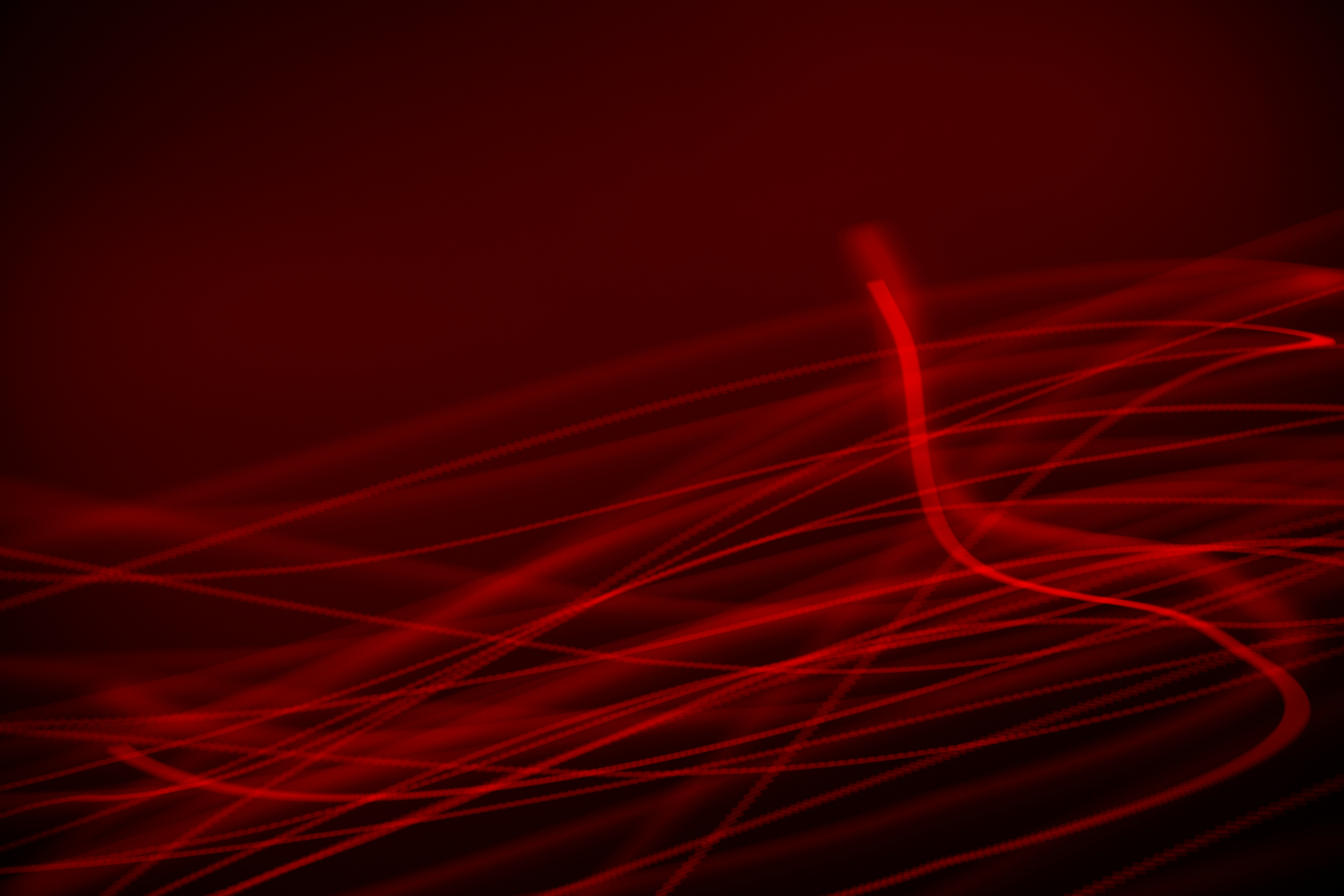 Photo by angeloabear