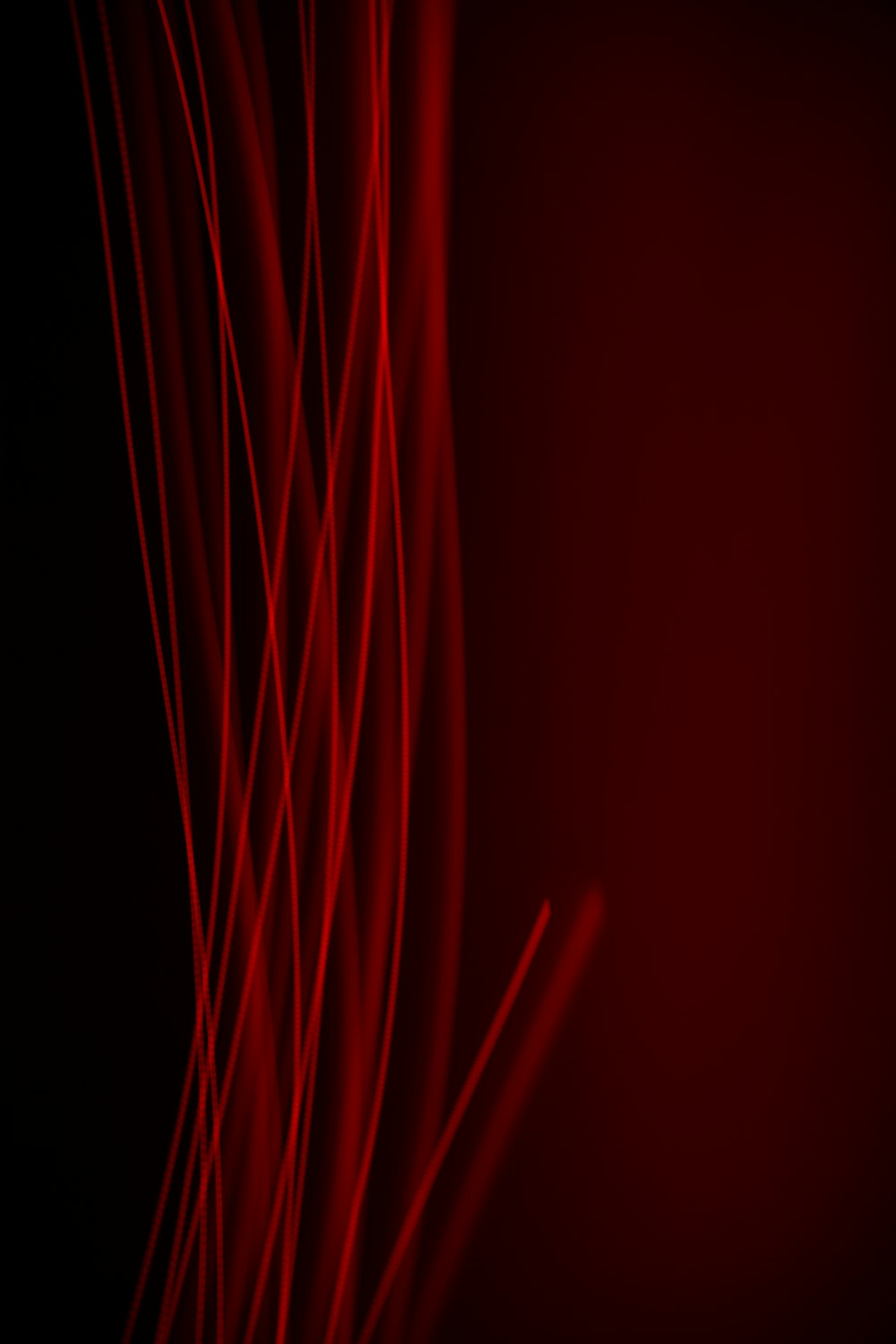 red light in dark room