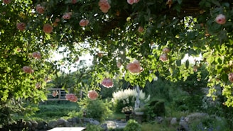 green and brown plants during daytime