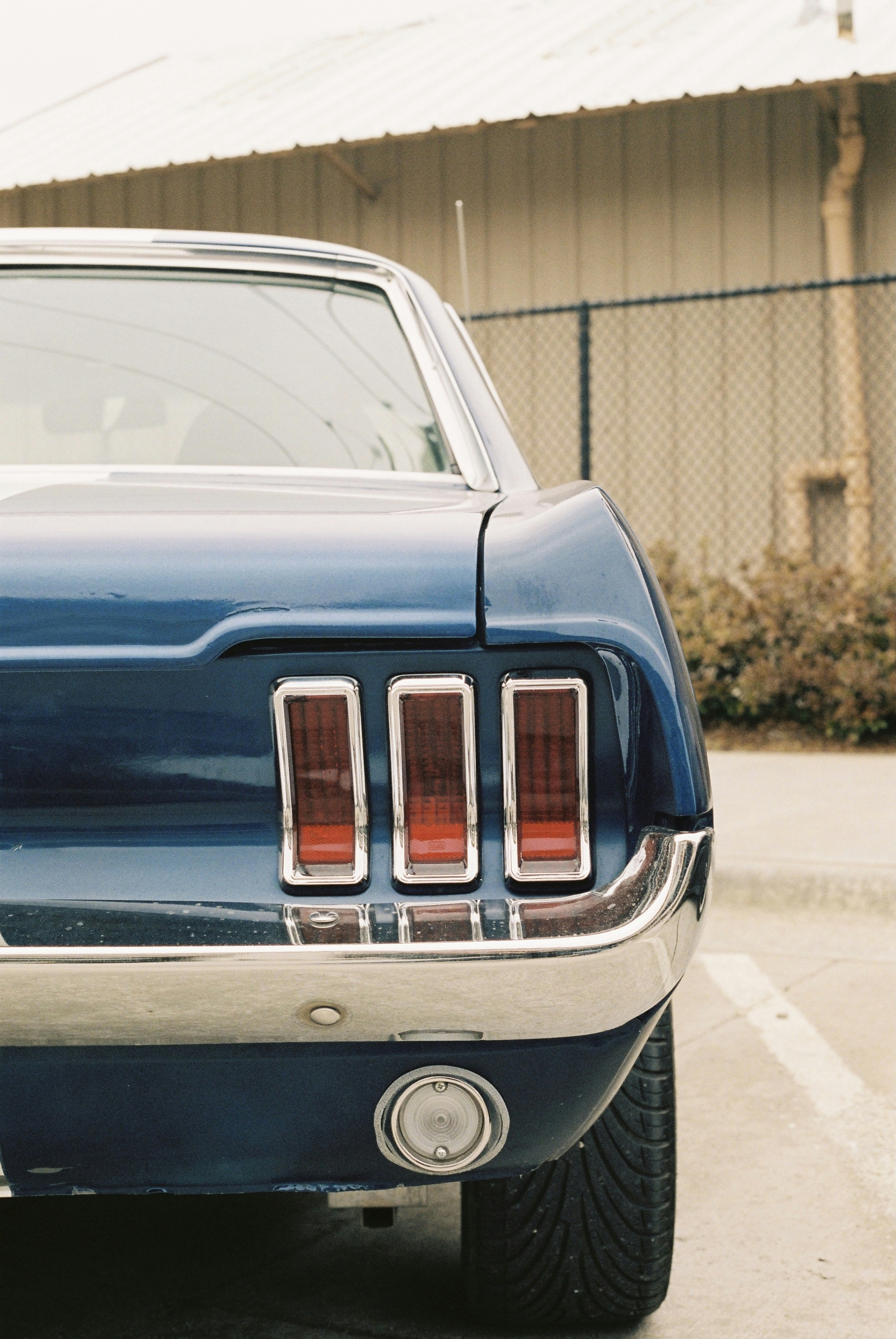 Photo by anderson_rhom