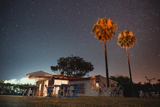 white and blue wooden house near green trees under blue sky during daytime
