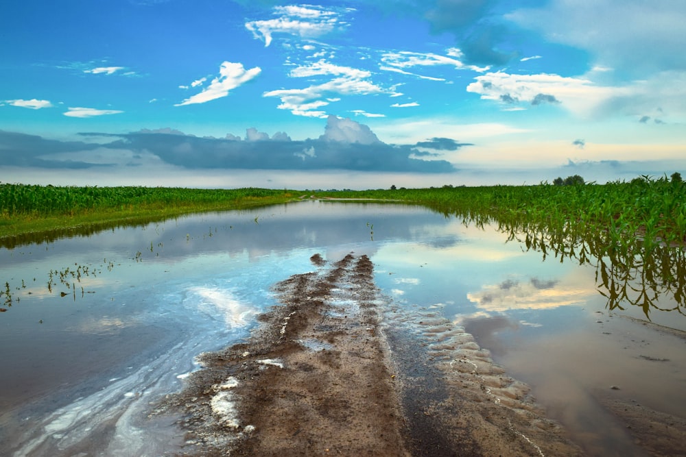 a body of water surrounded by grass and clouds