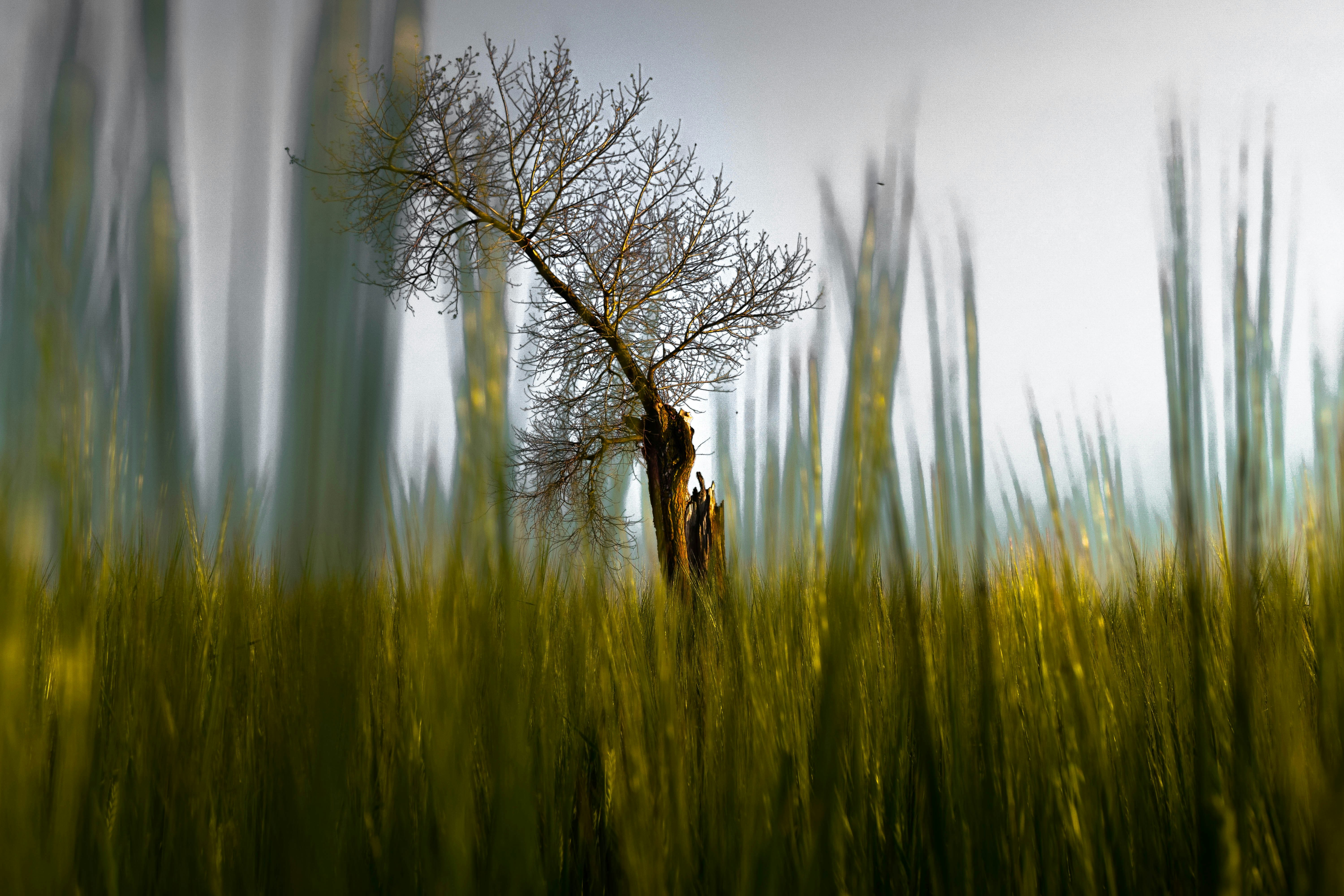 photo-1625689222551-02213bb204b4?ixid=M3wxMjA3fDB8MXxzZWFyY2h8OHx8JUQwJUJGJUQxJTgwJUQwJUJFJUQwJUJDJUQwJUJDJUQwJUI1JUQxJTgyJUQwJUIwJUQwJUJCJUQwJUJCJTIwJUQwJUIwJUQxJTgyJUQwJUJDJUQwJUJFJUQxJTgxJUQxJTg0JUQwJUI1JUQxJTgwJUQwJUIwJTIwJUQwJUJGJUQwJUI1JUQxJTg3JUQxJThDfGVufDB8fHx8MTc0MjQ5MDQ1MHww\u0026ixlib=rb-4.0.3