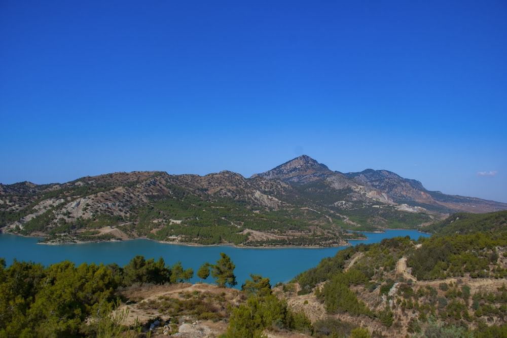 green trees on mountain near body of water during daytime