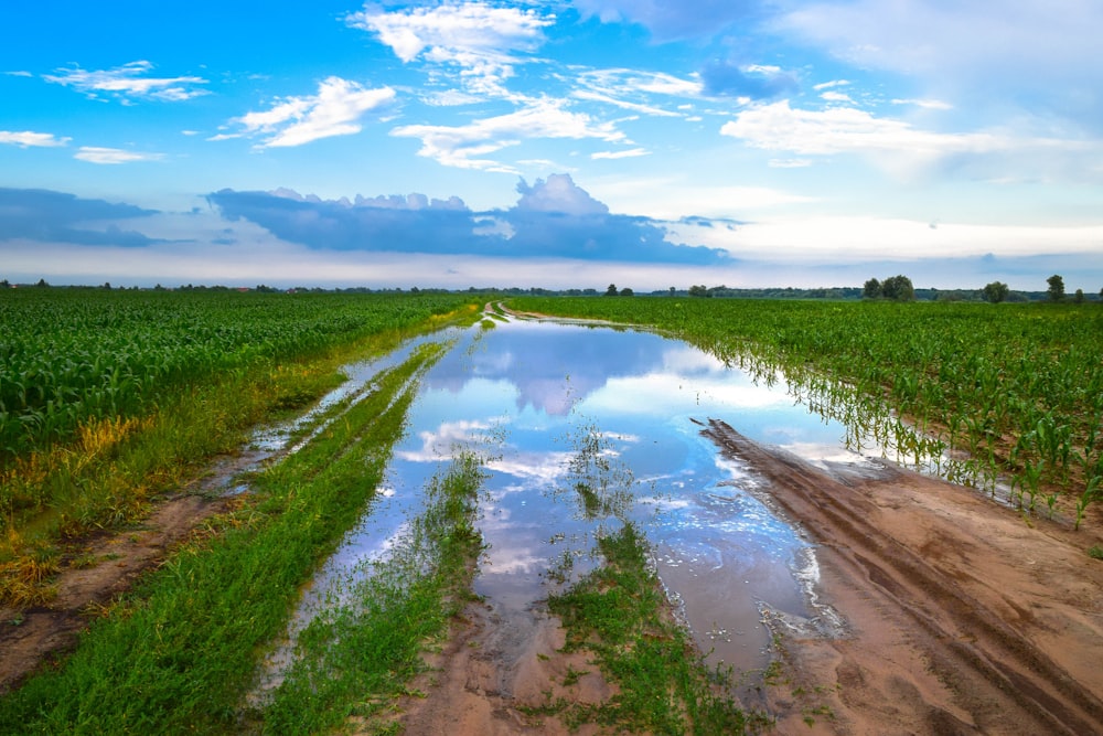 a large puddle of water in the middle of a field