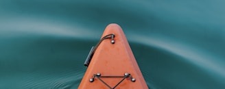 brown boat on green water