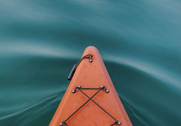 brown boat on green water