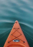 brown boat on green water