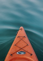 brown boat on green water