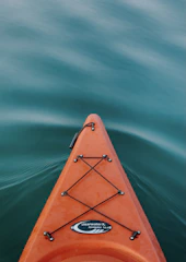 brown boat on green water